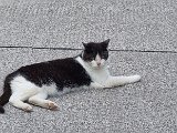 20240709_164740.jpg