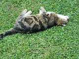 20240709_181721.jpg