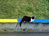 20240713_175431.jpg