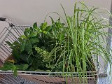 20240716_135641(0).jpg