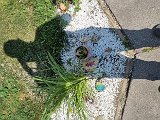 20240717_105705.jpg