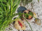 20240717_105719.jpg