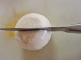 20240723_200807.jpg