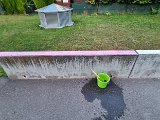 20240724_201311.jpg