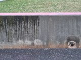 20240724_202928.jpg