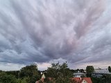 20240725_052149.jpg
