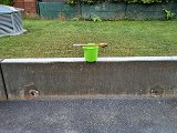 20240725_193151.jpg