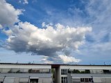 20240728_185246.jpg