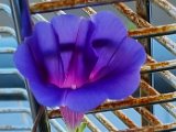 20240729_075352.jpg