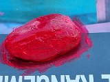20240729_083533.jpg
