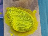 20240729_083549.jpg