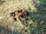 20240729_095750.jpg