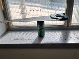 20240729_100238.jpg
