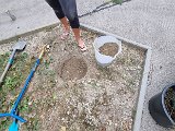 20240729_131607.jpg
