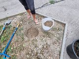 20240729_131608.jpg