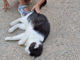 20240730_191154.jpg