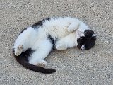 20240730_191255.jpg