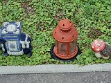 20240801_122810.jpg