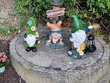 20240803_193043(0).jpg