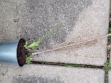 20240808_175455.jpg