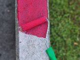 20240809_195917.jpg