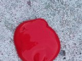 20240809_200024.jpg