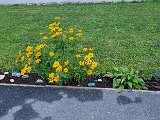 20240809_201245.jpg