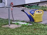 20240809_201322.jpg