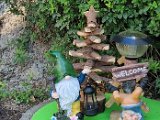 20240810_153236(0).jpg