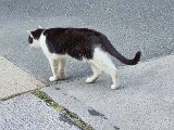 20240813_173025.jpg