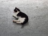 20240813_173126.jpg