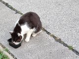 20240813_194719.jpg