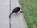 20240813_194824.jpg