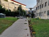20240814_181624.jpg