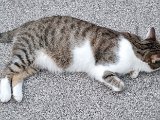20240814_201004.jpg