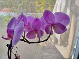 20240818_134134(0).jpg