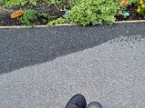 20240827_163052.jpg