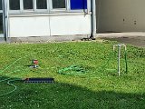 20240827_164146.jpg