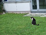 20240827_193010.jpg