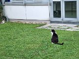 20240827_193014.jpg