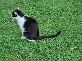 20240827_193028.jpg