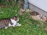 20240827_193041.jpg