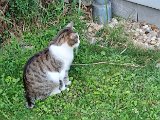 20240827_193112.jpg