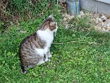 20240827_193114.jpg