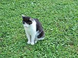 20240827_193122(0).jpg