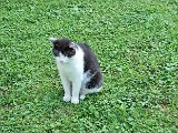 20240827_193123.jpg