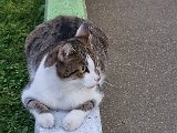 20240904_194230.jpg