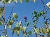20240905_144739.jpg