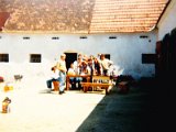 052.jpg