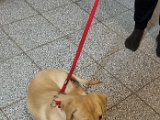 20231219_163554.jpg